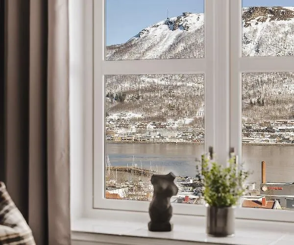 Enter St Elisabeth & 4*