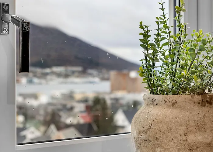 Enter St Elisabeth & 4*