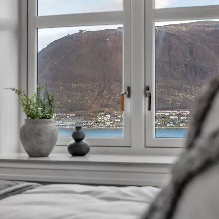 Enter St Elisabeth & 4*